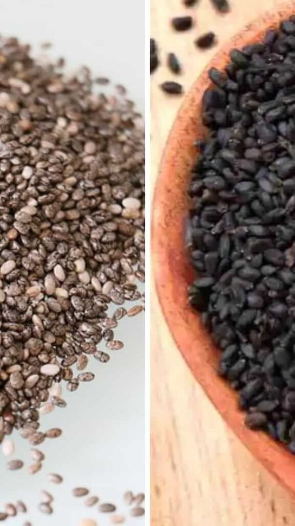 Chia Seeds और Sabja Seeds में क्या अंतर है और कौन सा है आपके स्वास्थ्य के लिए बेहतर? 3 Chia Seeds Vs Sabja Seeds Which Are More Beneficial For Health