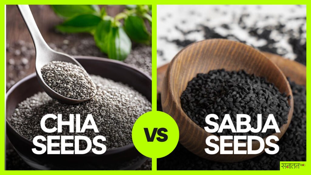 Chia Seeds और Sabja Seeds में क्या अंतर है और कौन सा है आपके स्वास्थ्य के लिए बेहतर? 1 Chia Seeds और Sabja Seeds